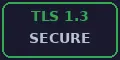 TLS 1.3 secure connection badge verifying encrypted browser-to-server communication